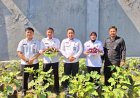 Rutan Demak Dukung Ketahanan Pangan Nasional Lewat Panen Terong Warga Binaan