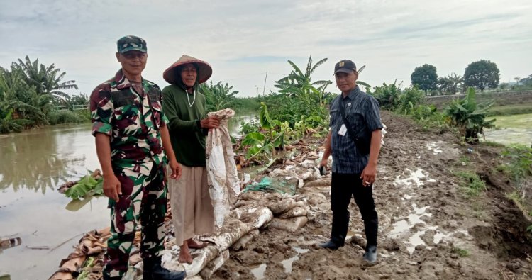 Babinsa Koramil 10/Guntur Pantau Debit Air Sungai Di Wilayah Binaan